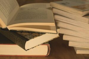 Austausch und Innovation: Die Vorteile einer internationalen Handelshochschule